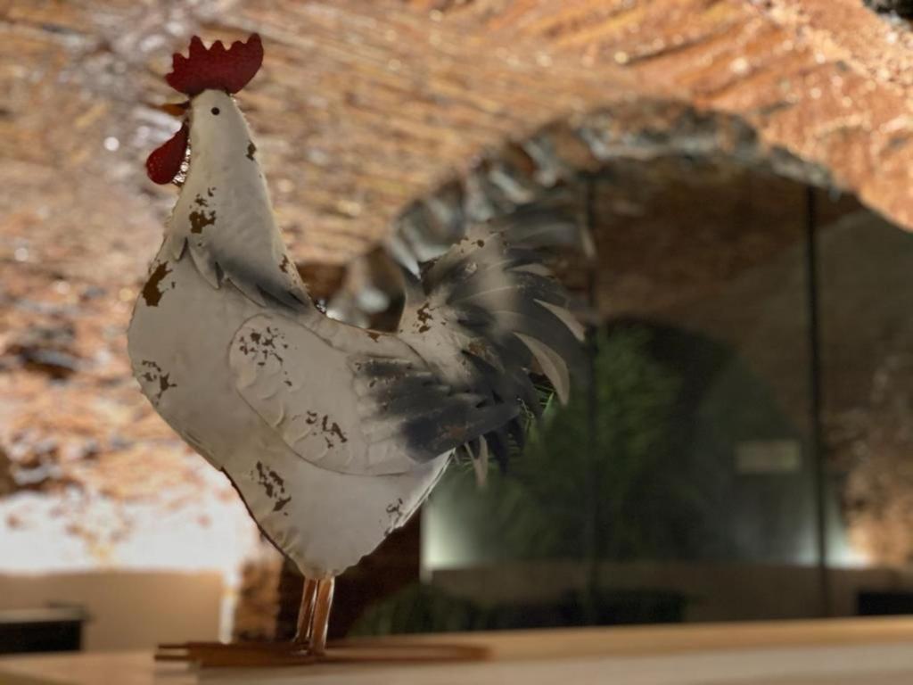 Suite Gallo كاتانيا المظهر الخارجي الصورة